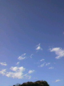 (untitled)