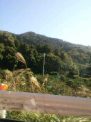 �R�z��