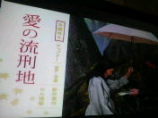 �c�u�c�؂肽