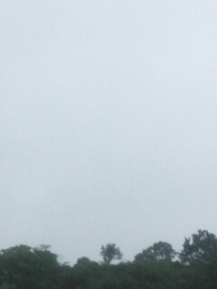 �~������~�񂾂�