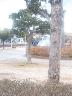 �܂������c