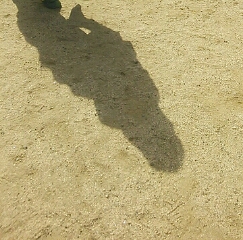 �ۈ牀�s��