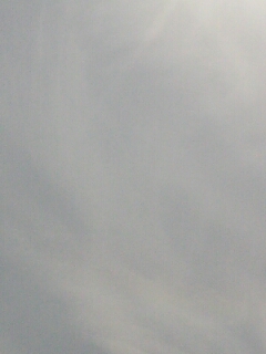 ���̊y����